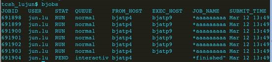 Linux 下bsub命令